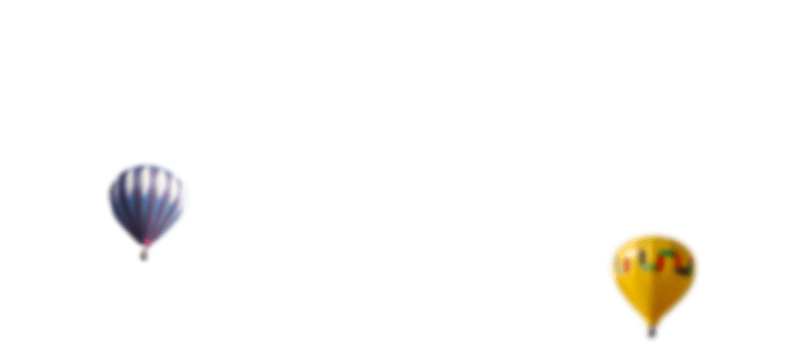 Поисковая оптимизация